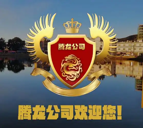 策略王朝